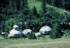 Why Geodesic Domes?